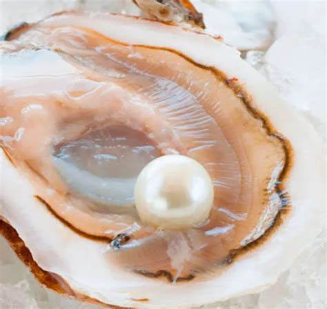 11 cosas que NO sabías que tu vagina puede hacer Actitudfem