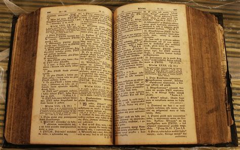 История польского языка: коротко и по существу | insidePL