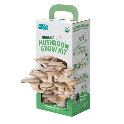 Air Filters Will Prevent Mushroom Lung In Future Grow Rooms - RYZE Superfoods
