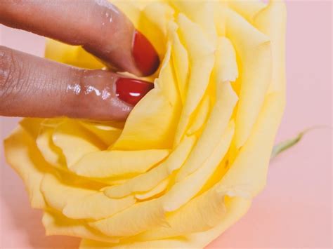 Sex Toys For Solo Play Restless Network