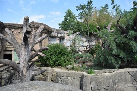 Asia Quest Sloth Bear Exhibit Zoochat