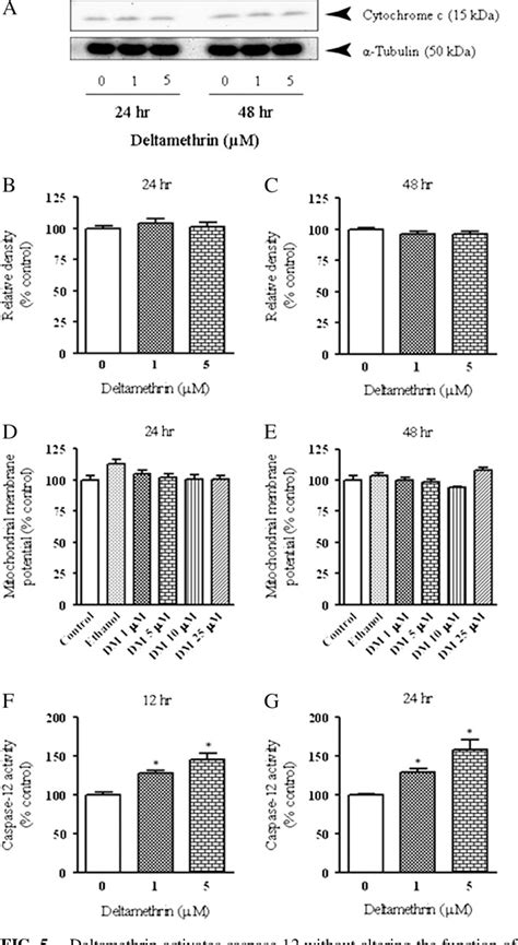 Figure From Mechanism Of Pyrethroid Pesticide Induced Apoptosis Role