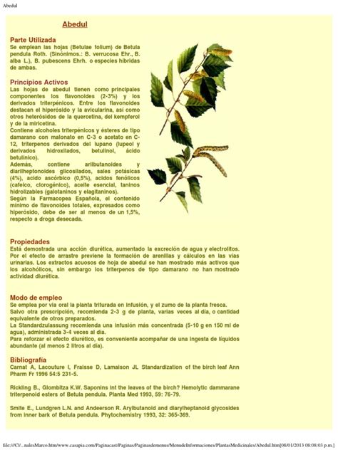 Pdf 166 Plantas Medicinales Dokumentips