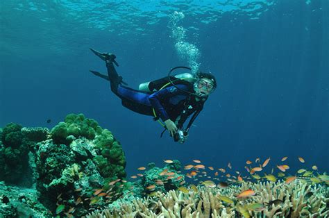 The Unique Sipadan Island Diving Encounter | Uncharted101.com