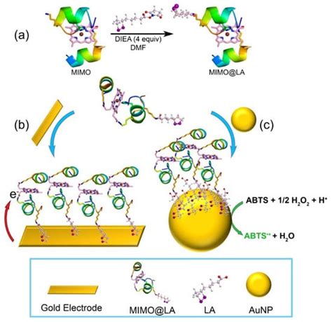 IJMS | Special Issue : Metalloenzyme