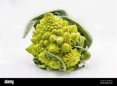 Romanesco Broccoli Or Roman Cauliflower Closeup On White Stock Photo