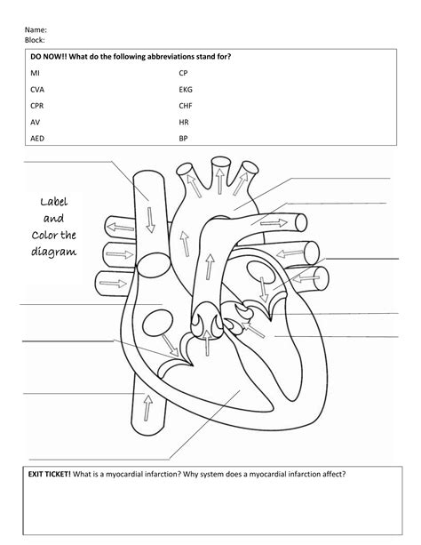 Heart Anatomy Worksheets