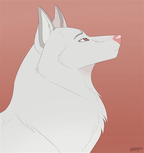 raito  chosaguro  deviantart