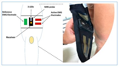 Sensors Free Full Text Validation Of Fabric Based Thigh Wearable Emg Sensors And Oximetry