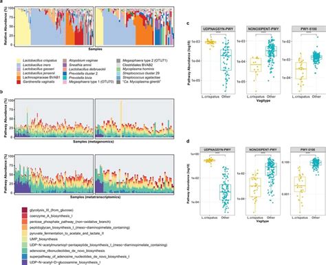 Metabolic Pathway Abundance By Vagitype A Stacked Barplots Showing The