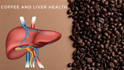 New Study Finds Link With Coffee And Liver Health My Coffee Addiction