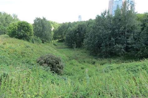 Крылатские холмы – парк и природный заказник в Москве