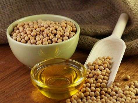 Oleo De Soja Beneficios - 10 Benefícios do Óleo de Soja – Para que Serve e Características ...