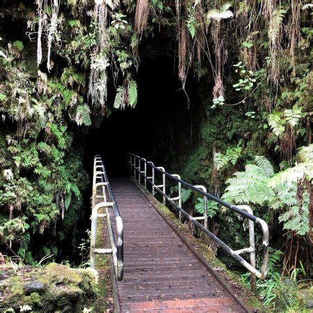 Nahuku Thurston Lava Tube Hawaii Volcanoes National Park All You