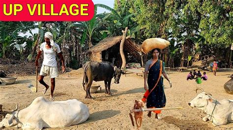 Real Life India Uttar Pradesh Farmer Life Up Village Rural Life Indian Youtube