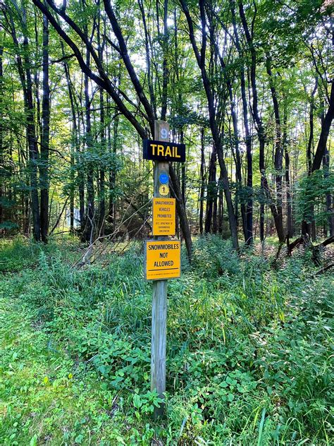 Rattlesnake Hill State Wildlife Management Area – Dalton, NY