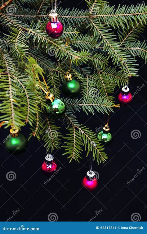 Ornamentos De La Navidad Y Ramas Del Pino En Fondo Negro Bolas P Rpuras