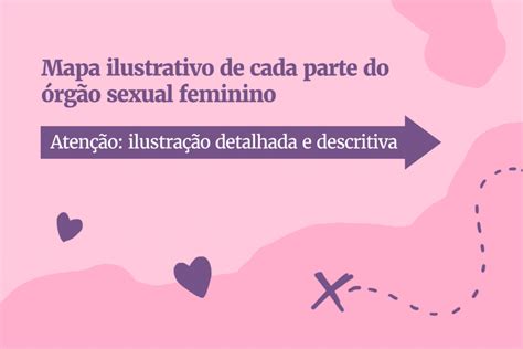 Mapa do prazer da vagina um guia para conhecer e dar prazer para elas Metrópoles