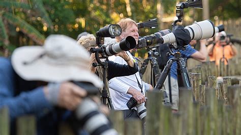 Photographers flock to Alligator Farm