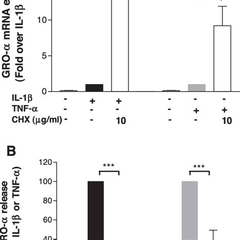 Effect Of Cycloheximide CHX On IL 1 0 1 Ng Ml Or TNF 1