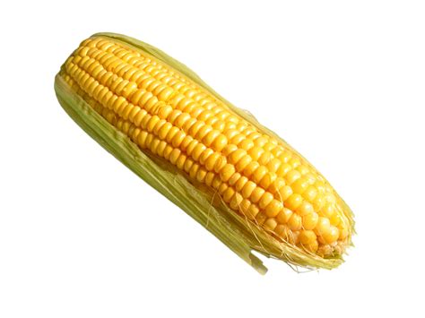 Corn (Maize) PNG Transparent Images | PNG All