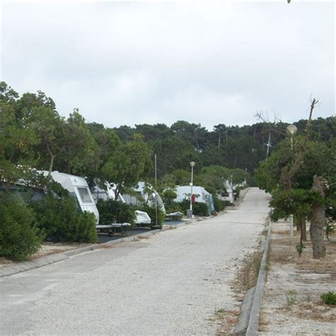 Onde Ficar Em S O Pedro De Moel Bambi Caf Uma Refer Ncia Em S O