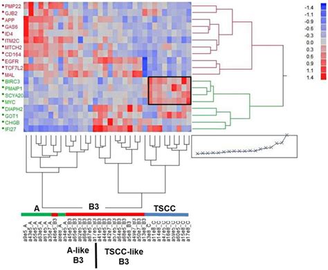 Cluster analysis of 19 expressed genes in individual... | Download ...