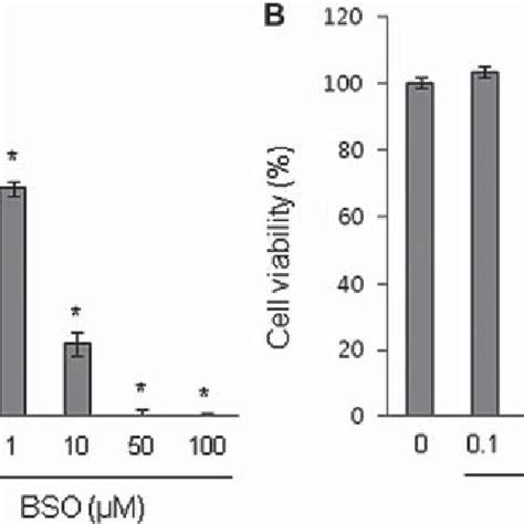 Treatment With BSO Reduces The Level Of GSH In RAW 264 7 Cells The