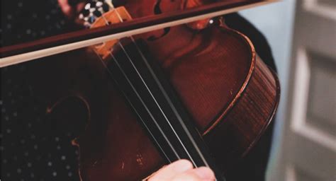 Strings Arco Music Academy