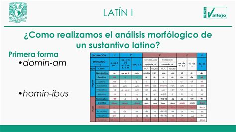 Análisis morfológico de sustantivos Latinos YouTube