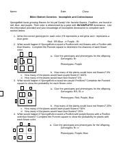 Bikini Bottom Incomplete And Codominance Doc Name Date Class Bikini Bottom Genetics