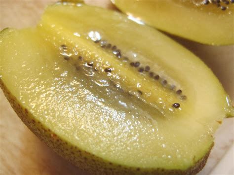 Golden Kiwi 2 by Windthin on DeviantArt