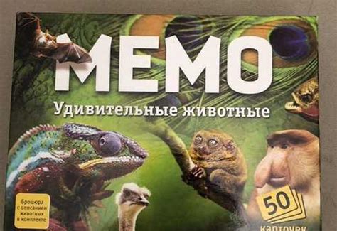 Игра Мемо Животные, 50 карточек | Festima.Ru - Мониторинг объявлений