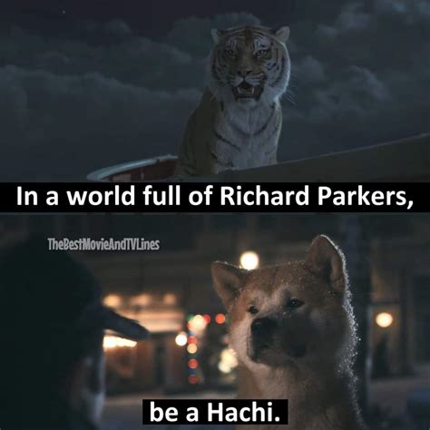 Hachiko Movie Quotes