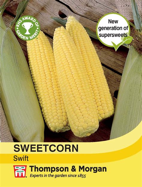 Sweetcorn Swift Thompson And Morgan Seed Pack Horticentre Your