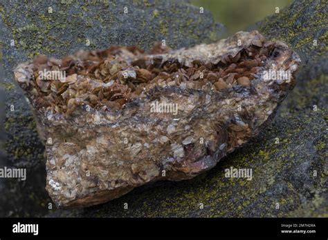 Sample Of Siderite Mineral From Piedmont Italy A Mineral Composed Of