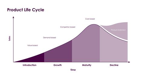 Product Life Cycle Extension