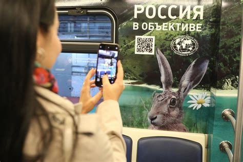 Как доехать от Эльбруса до Камчатки на метро: на серой ветке запущен ...