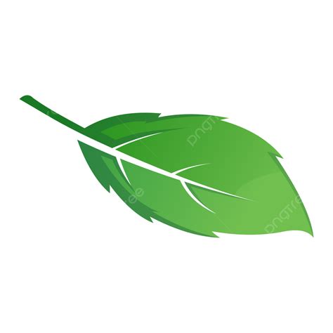 logo daun vektor daun daun daun ikon daun png  vektor
