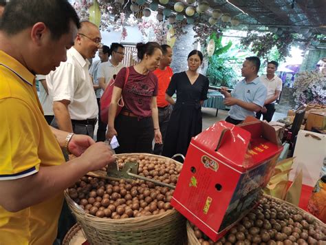 广西现代青年农场主故事系列活动（二）——美丽南方参观学习交流会 广西大学农牧产业发展研究院