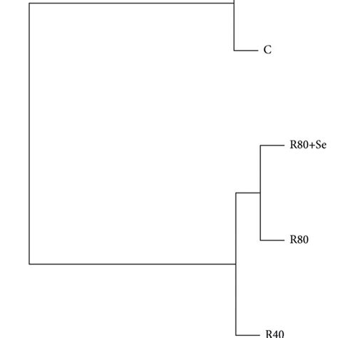 Hierarchical Cluster Analysis Hca Of Golden Pompano Fed Different