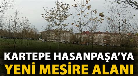 Kartepe Hasanpa Aya Yeni Mesire Alan Kocaeli Haberleri