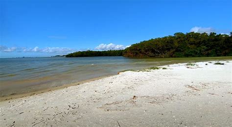 Florida Nude Beaches The Naked Truth Nude Beach Barrier Island Apollo Beach