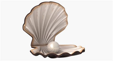 Жемчужина на прозрачном фоне - фото и картинки abrakadabra.fun