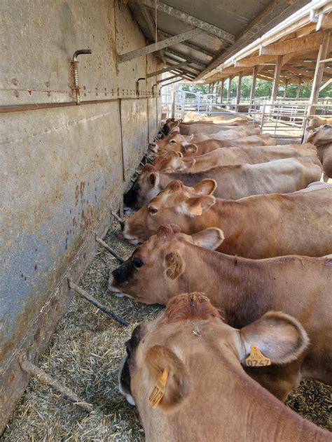 L Alimentation En Pr Pa V Lage Ferme Pilote De Bel Orient