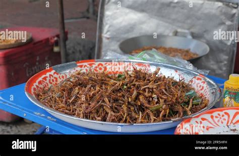 Thailand insects Stock Videos & Footage - HD and 4K Video Clips - Alamy