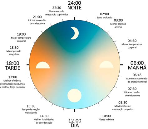 Qual O Melhor Horario Para Estudar - Você sabe qual é o melhor horário para estudar? | Engenharia 360