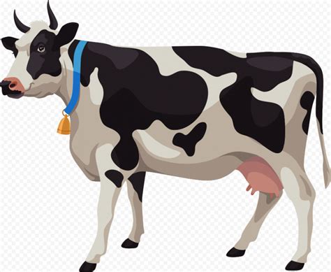 HD Cartoon Cow Calf Cattle PNG Citypng