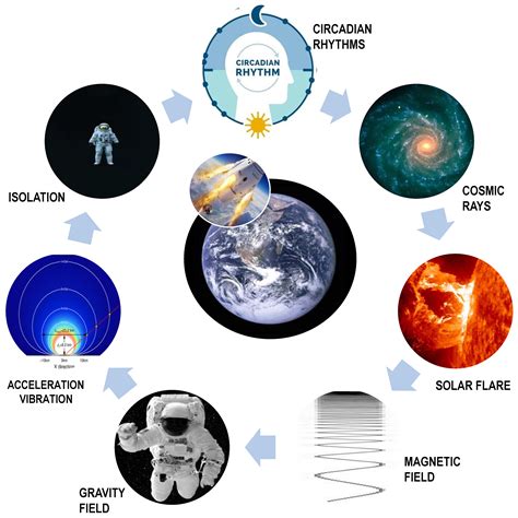 Space Biomedicine: A Unique Opportunity to Rethink the Relationships