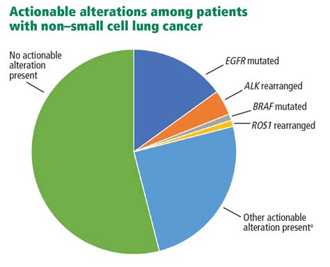 Precision Treatment For Metastatic Nonsmall Cell Lung Cancer A